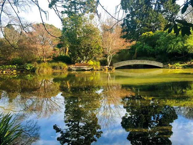 Christchurch-Botanic-Gardens.jpg