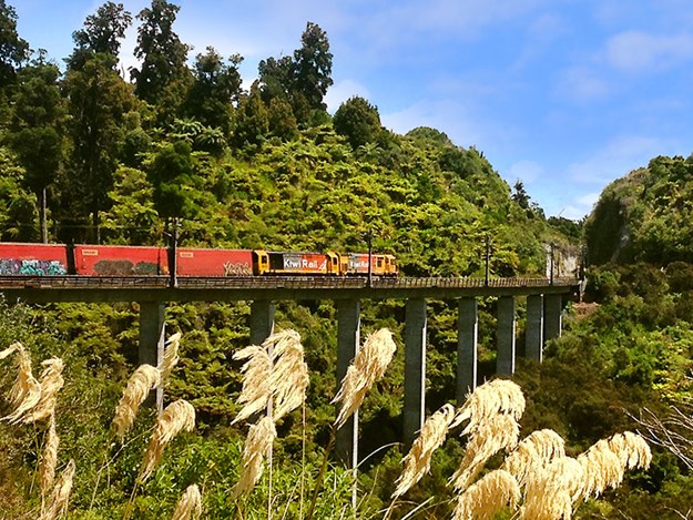Ohakune-riding-through-rail-history-A-Freight-Train-Passes-Over-the-New-Hapuawhenua-Viaduct.jpg
