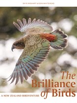 The-Brilliance-of-Birds.jpg