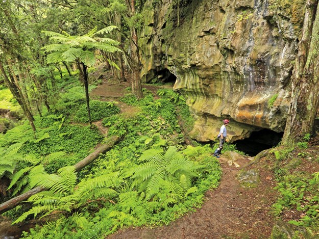 Waipu-Caves.jpg