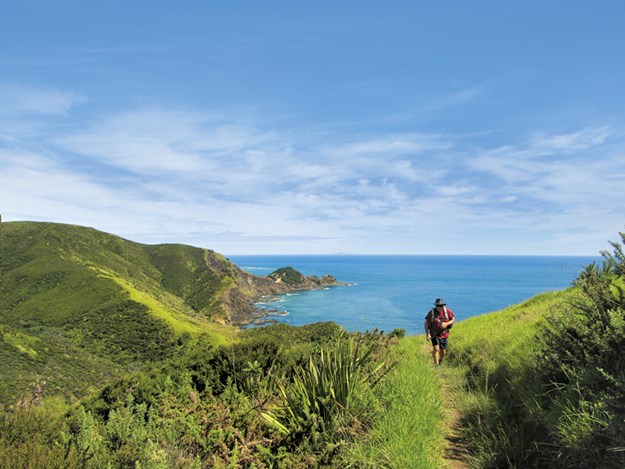 Whelan_5-On-the-track-from-Tapotupotu-Bay---to-Cape-Reinga.jpg