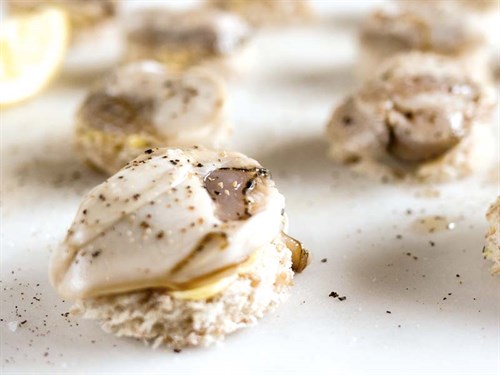 Oysters -on -toast