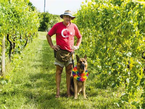 Rod -Mac Ivor -and -friend --checking -on -the -vines