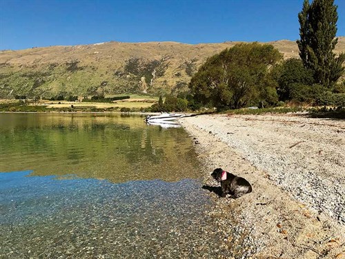 Taking -in -the -magnificent -Lake -Wakatipu