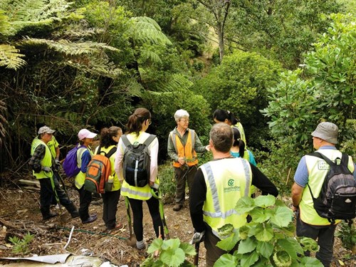 Team -Leaders -induct -and -train -volunteers ---Credit -Conservation -Volunteers -NZ
