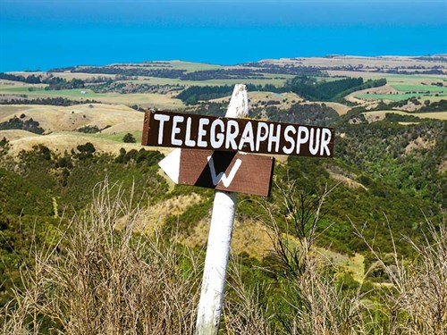 Telegraph -spur