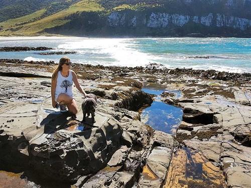 The -Catlins -is -a -brilliant ,-dog -friendly -place