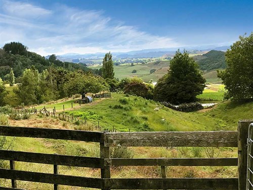 The -mighty -King -Country ,-from -Roselands -Waitomo