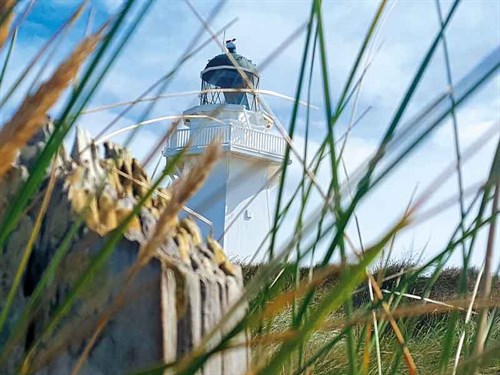 Visit -the -lighthouse -at -Waipapa -Point