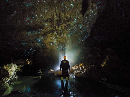 Waitomo -Caves -NZ-3