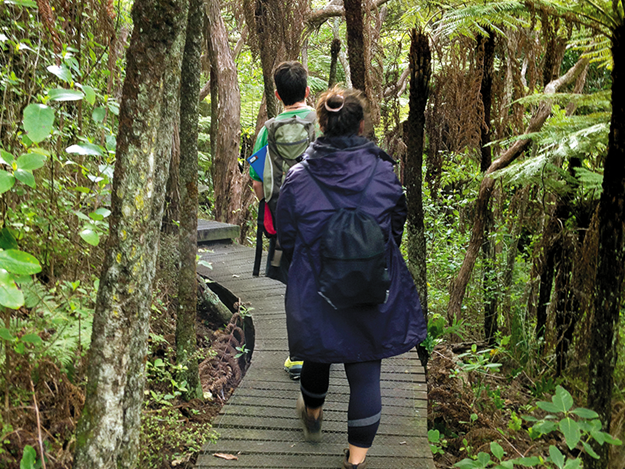 Tiritiri matangi Walking the Kawerau Track.png