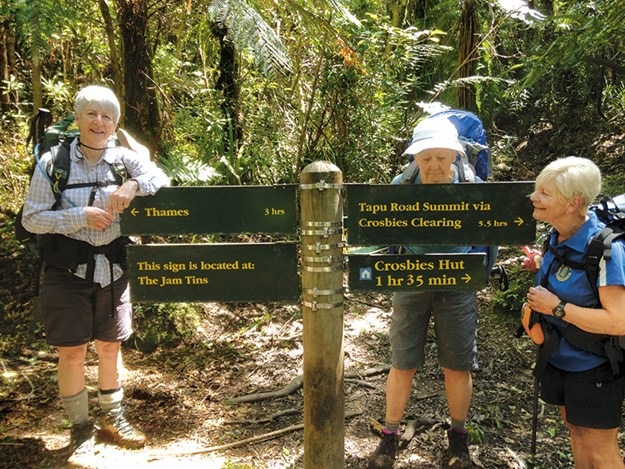 going bush in the coromandel A junction on the trail to Crosbies Hut.jpg
