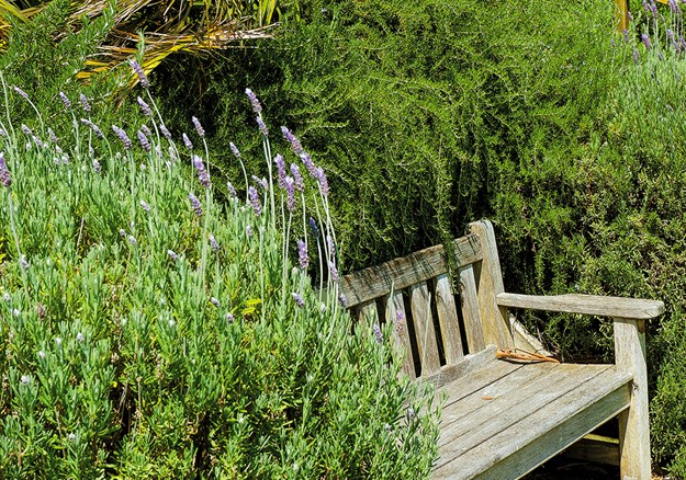 A fragrant place to enjoy the view beside lavender and rosemary bushes at Bason