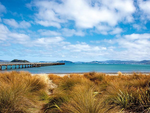 Petone has panoramic views of Wellington city and harbour; the wharf is a distinctive and much-loved landmark