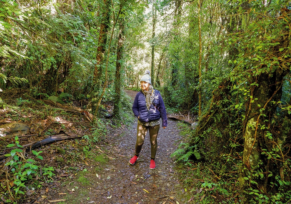 NZMCD Vivienne walking the forest track at Remutaka Park