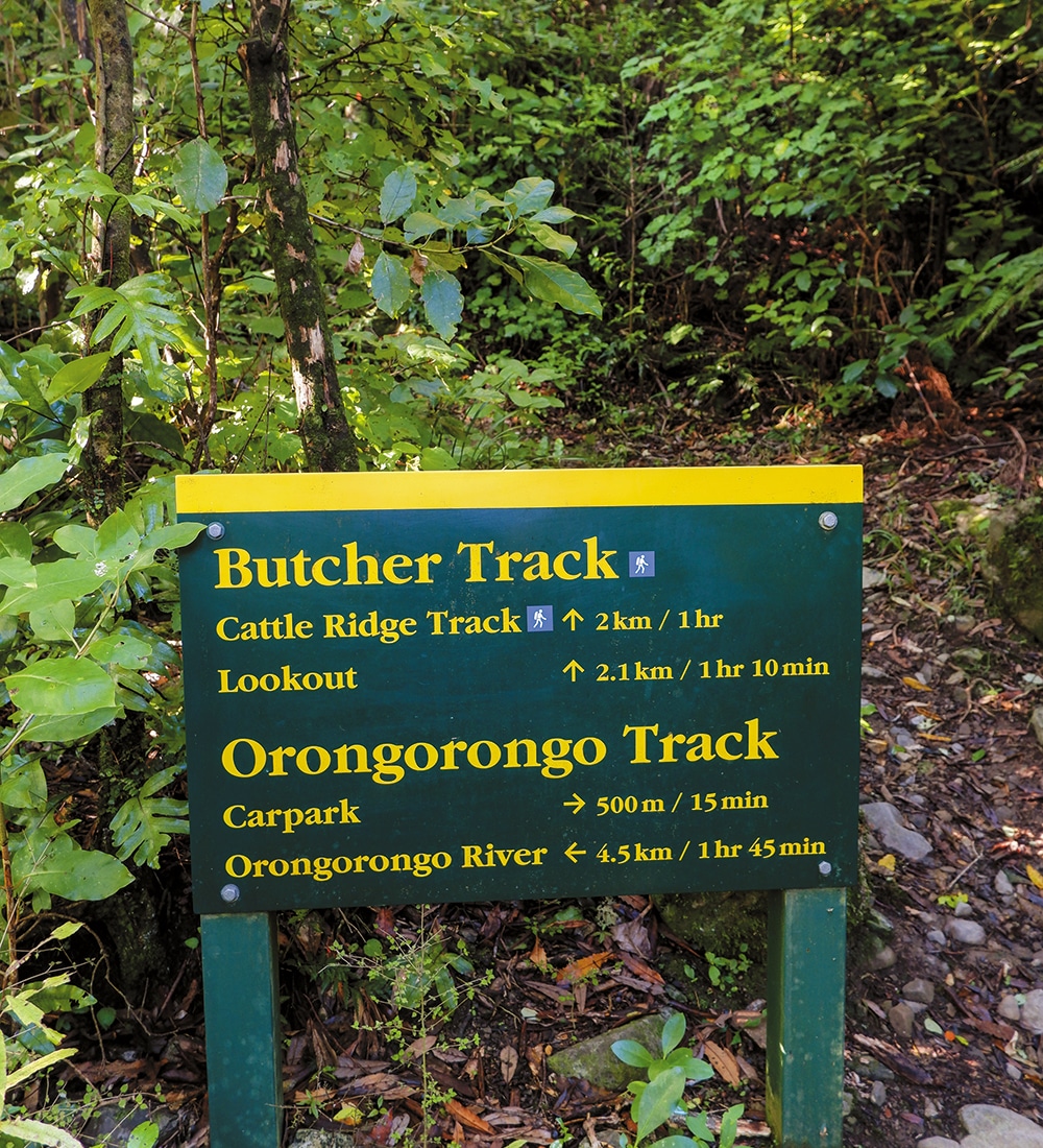 NZMCD Walking track sign at Remutaka Forest Park