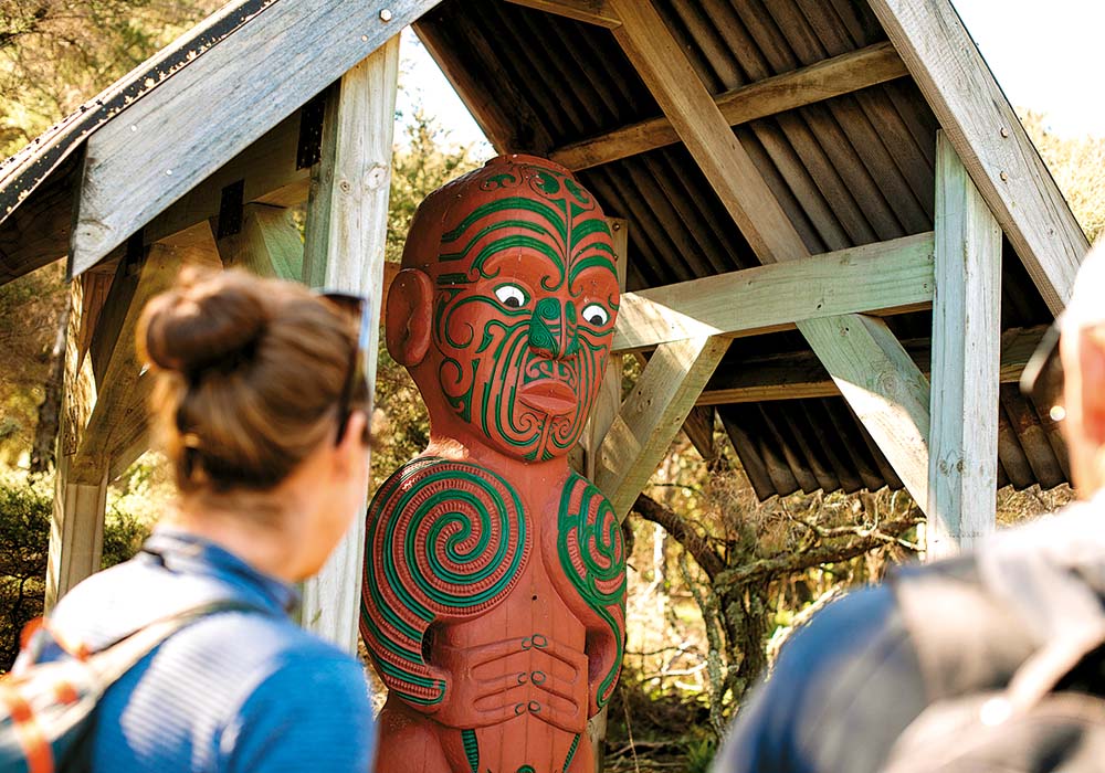NZMCD A guided tour at Moutohorā Island