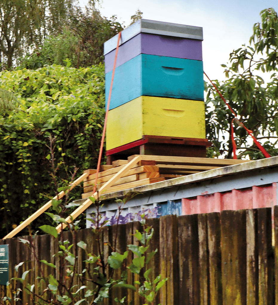 Kirikiriroa honey comes from hives around the city, including Hamilton Gardens