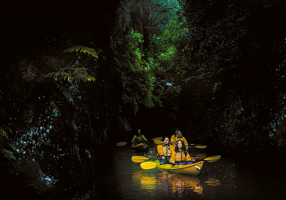 NZMCD Kayaking among the glow-worms