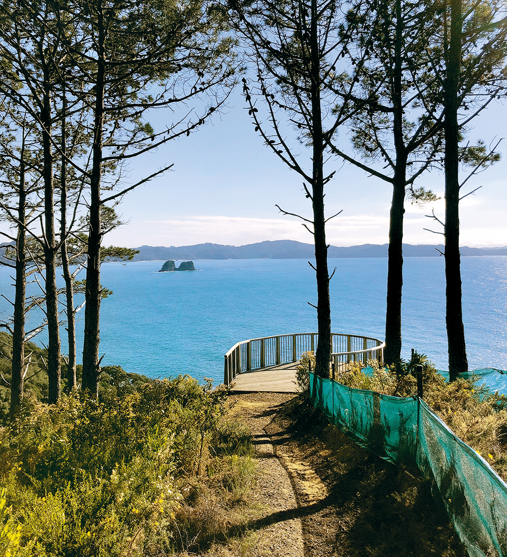 The viewing platform off Cathedral Cove track