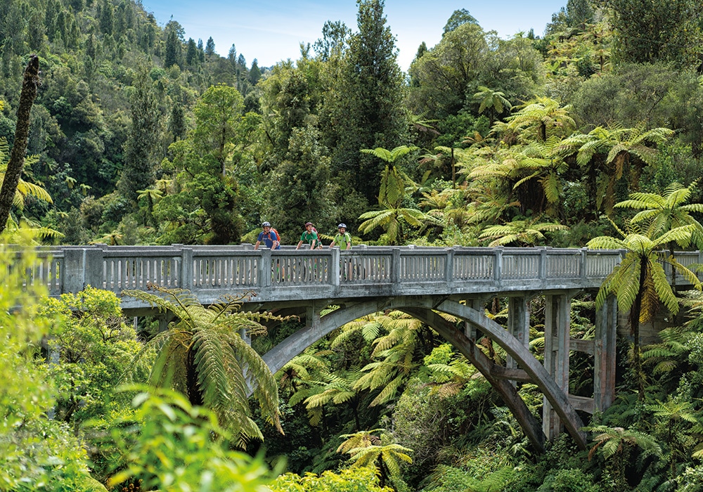 Whanganui Journey - Bridge to nowhere