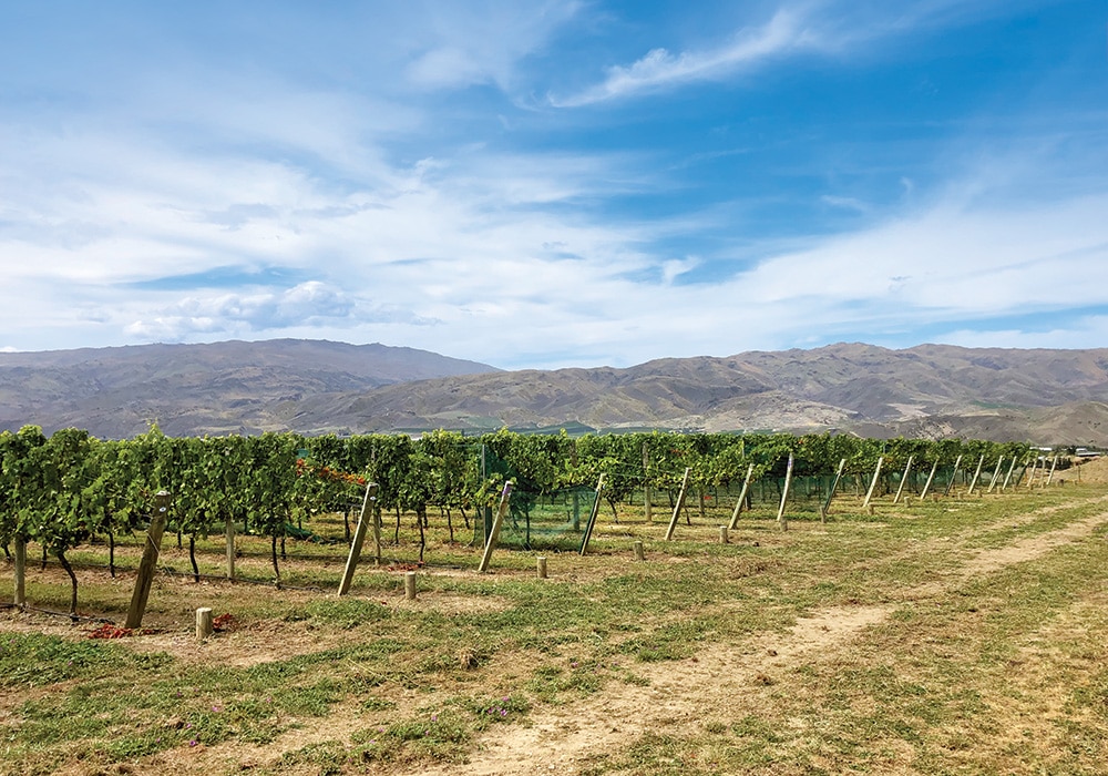 Wineries Central Otago